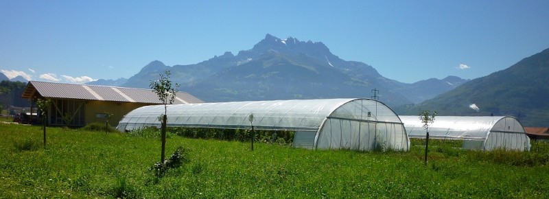 La Perrole